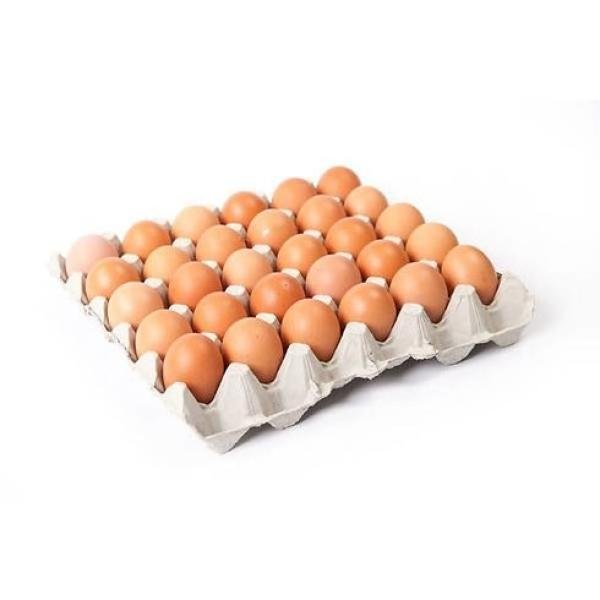 Eggs 18pcs