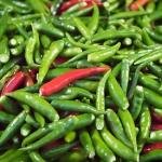 Birds Eye Chilli