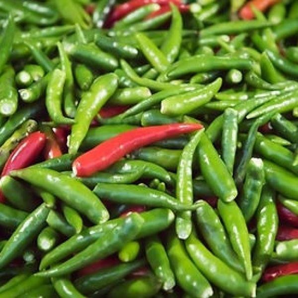 Birds Eye Chilli Box