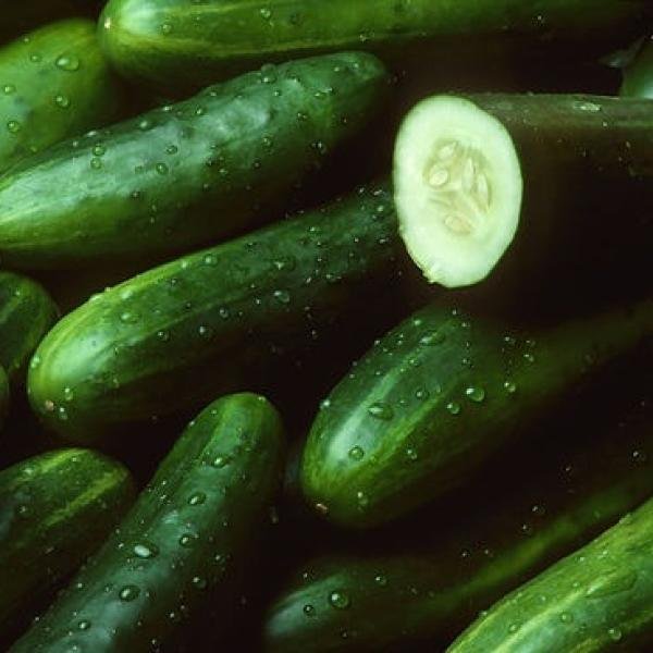 Cucumber Box