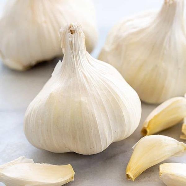Garlic Box