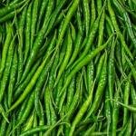 Green Chilli Box