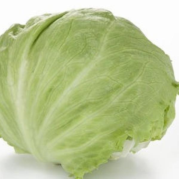 Iceberg Lettuce box