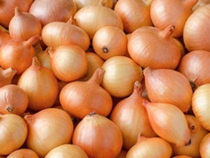 Onion 8kg