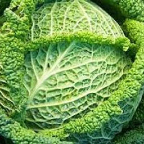 Spring Cabbage Box