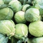 White Cabbage Bag