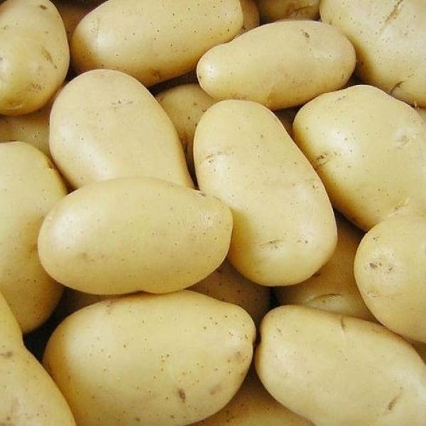 WhitePotato Bag 25k