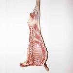 Half Sheep Per Kg