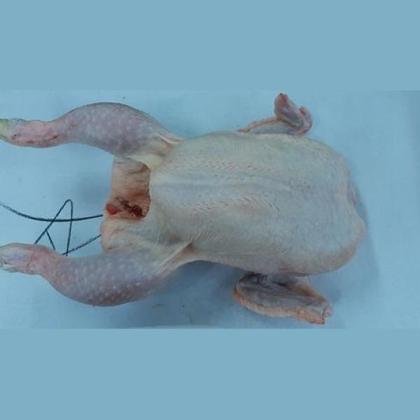 Roster Chicken £2.39 Per Kg