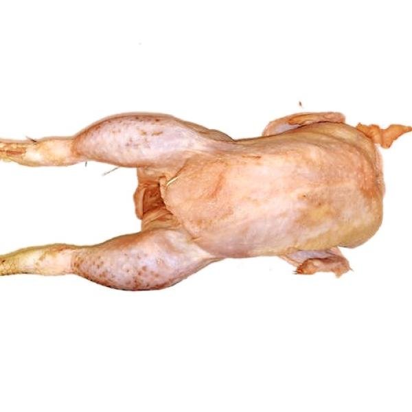 Soft Broiler chicken £1.89 Per Kg